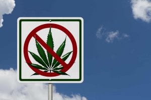 A "no marijuana" road sign against a blue sky.