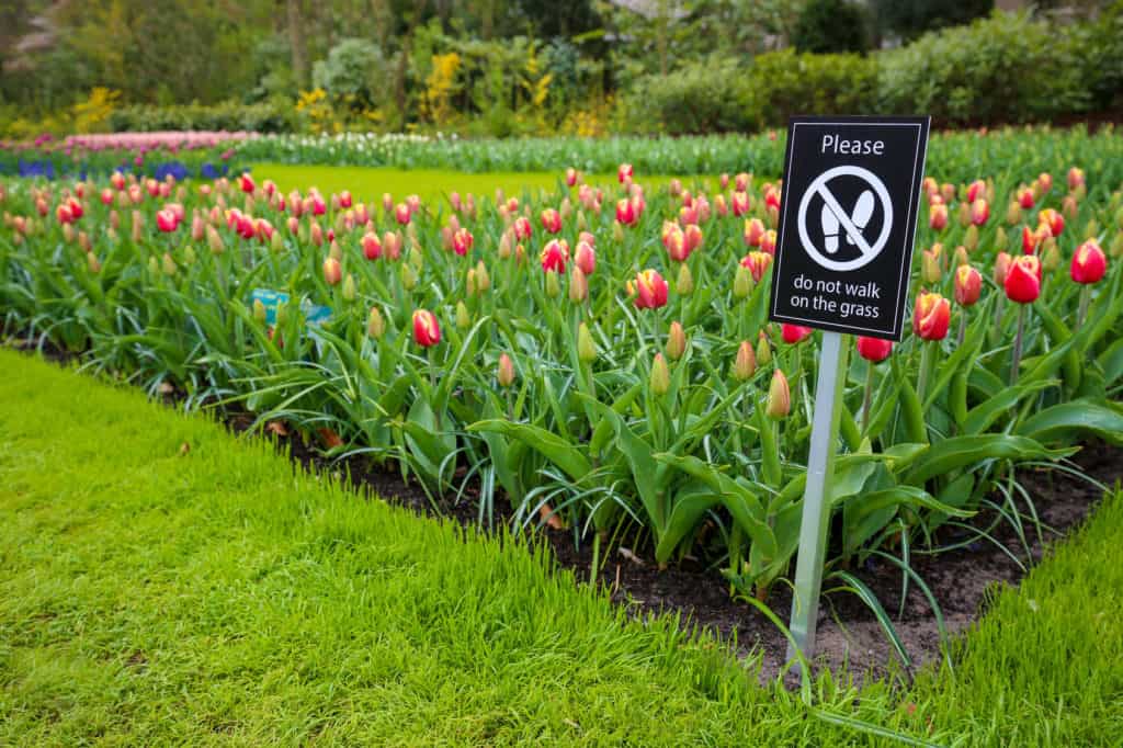 Garden with sign